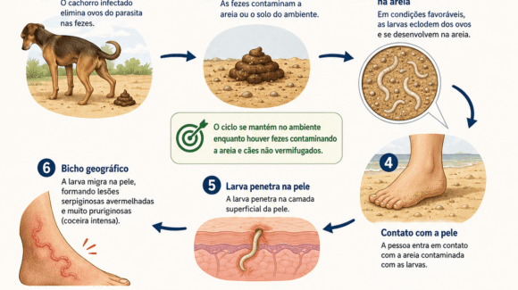 Bicho geográfico: o que é, como se pega e como tratar Bicho geográfico: o que é, como se pega e como tratar